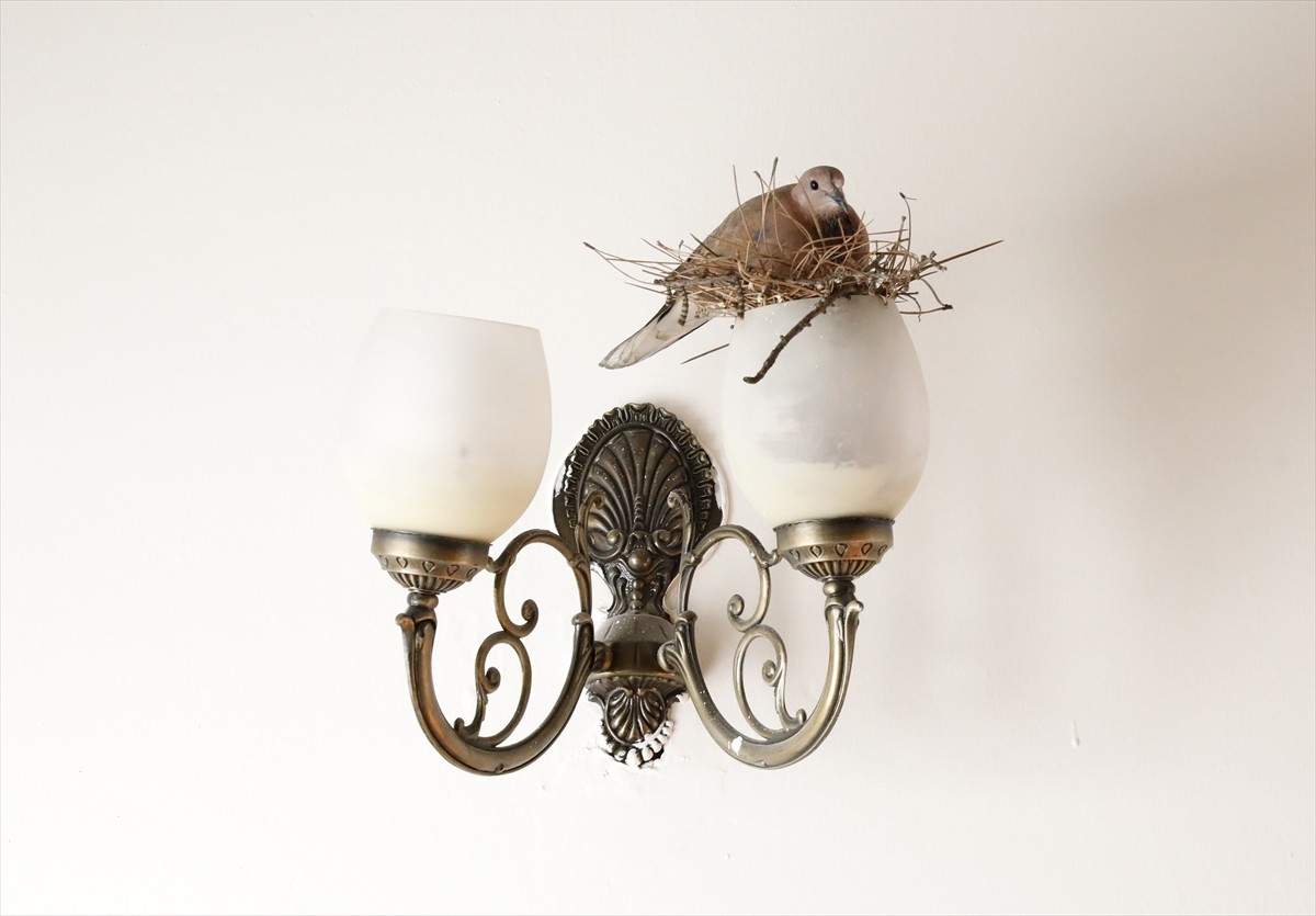 Samsun İl Kültür ve Turizm Müdür Yardımcısı İrfan Göz (fotoğrafta), odasını, pencereden girerek...