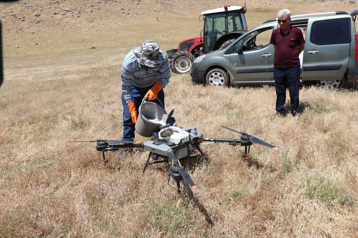 Siirt'in Pervari ilçesinde görülen çekirgelere karşı İl Tarım ve Orman Müdürlüğü ekiplerince 3 bin...