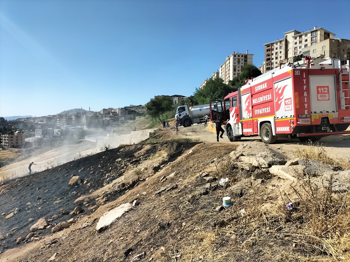 Şırnak'ın Cizre ilçesinde çıkan anız yangını söndürüldü.