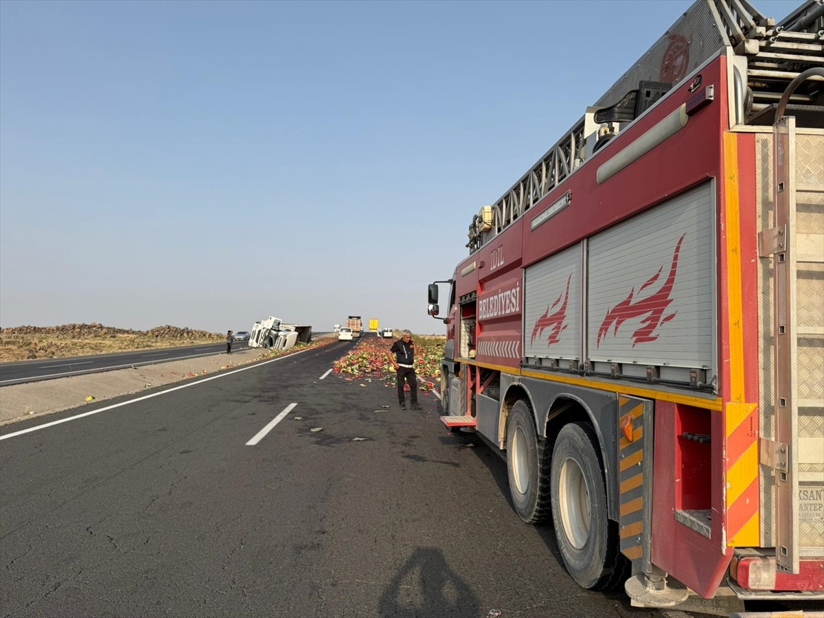 Şırnak'ın İdil ilçesinde, karpuz yüklü tırın devrilmesi sonucu sürücü ağır yaralandı.