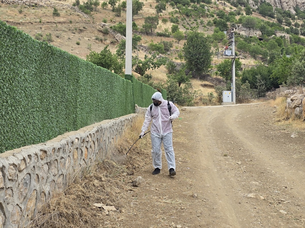 Şırnak'ın kuzeyinde görülen çekirgelere karşı vatandaşların talebi üzerine İl Tarım ve Orman...