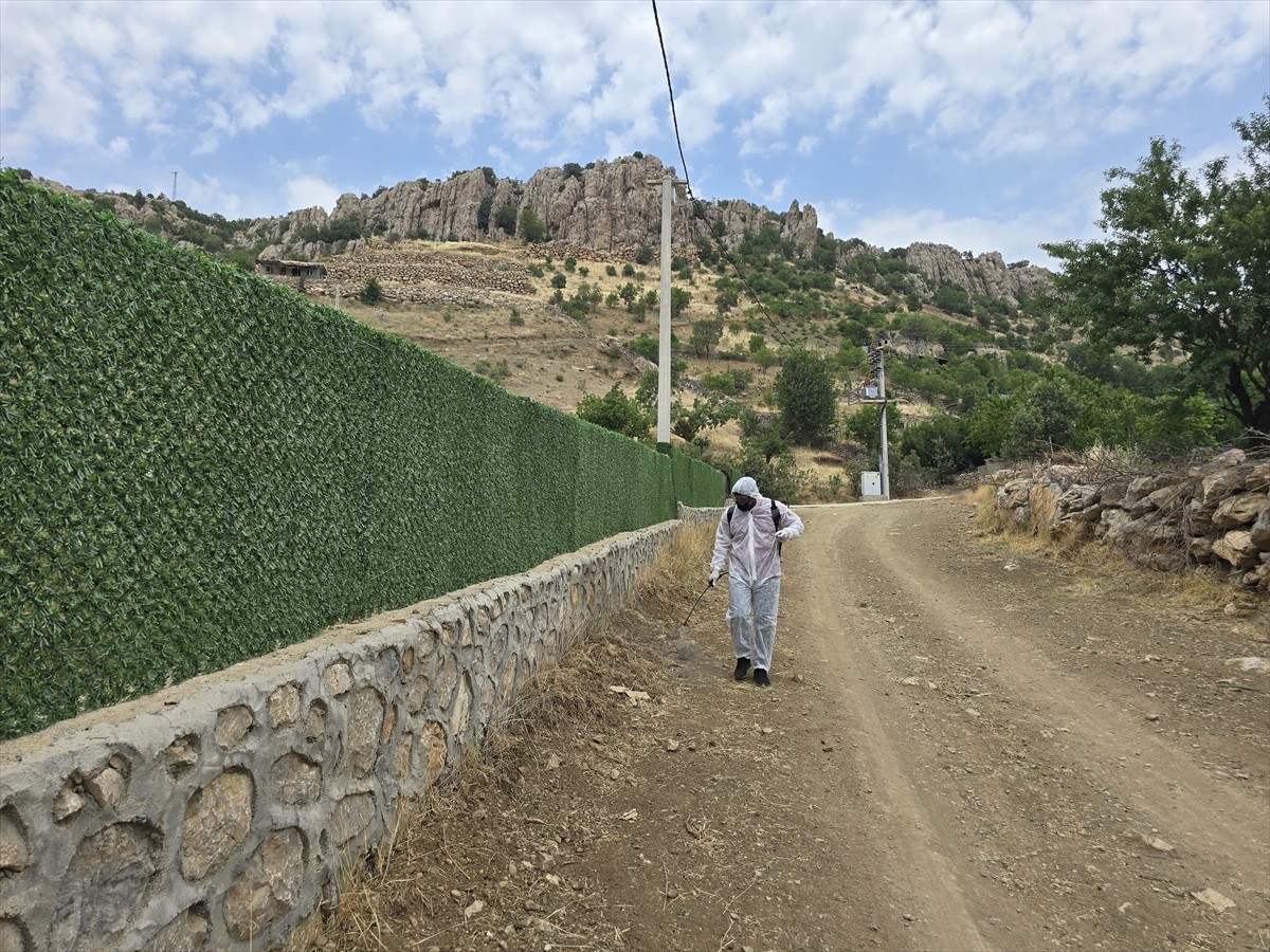 Şırnak'ın kuzeyinde görülen çekirgelere karşı vatandaşların talebi üzerine İl Tarım ve Orman...