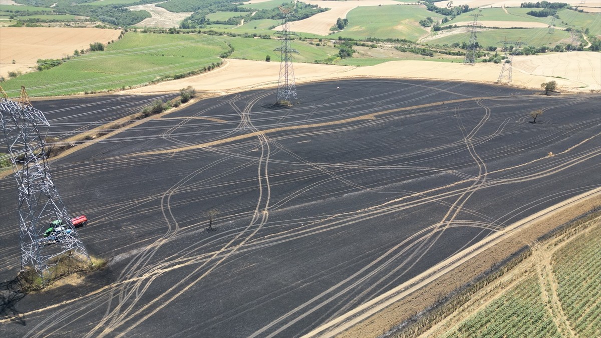 Tekirdağ'da 2 farklı yangında 340 dekar buğday ekili alan yandı.