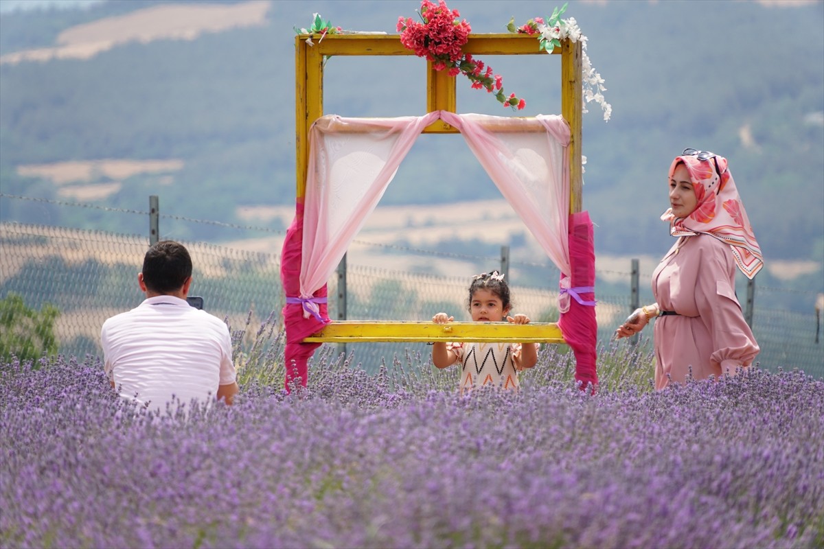 Tekirdağ'daki lavanta tarlaları, hafta sonu doğayla iç içe zaman geçirmek isteyen ziyaretçileri...