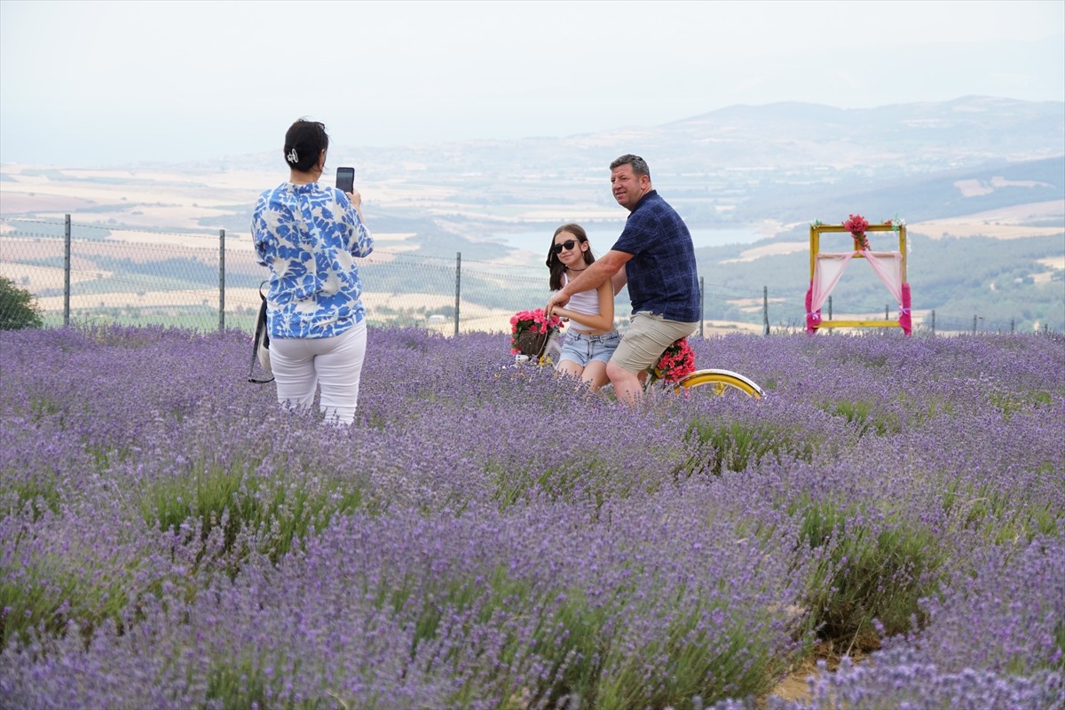 Tekirdağ'daki lavanta tarlaları, hafta sonu doğayla iç içe zaman geçirmek isteyen ziyaretçileri...