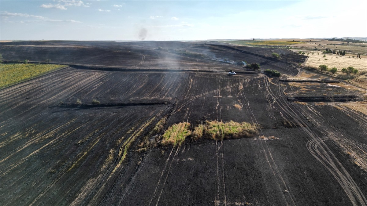 Tekirdağ'ın Hayrabolu ilçesinde çöplük alanda başlayıp anız ve biçilmemiş buğday tarlalarına...