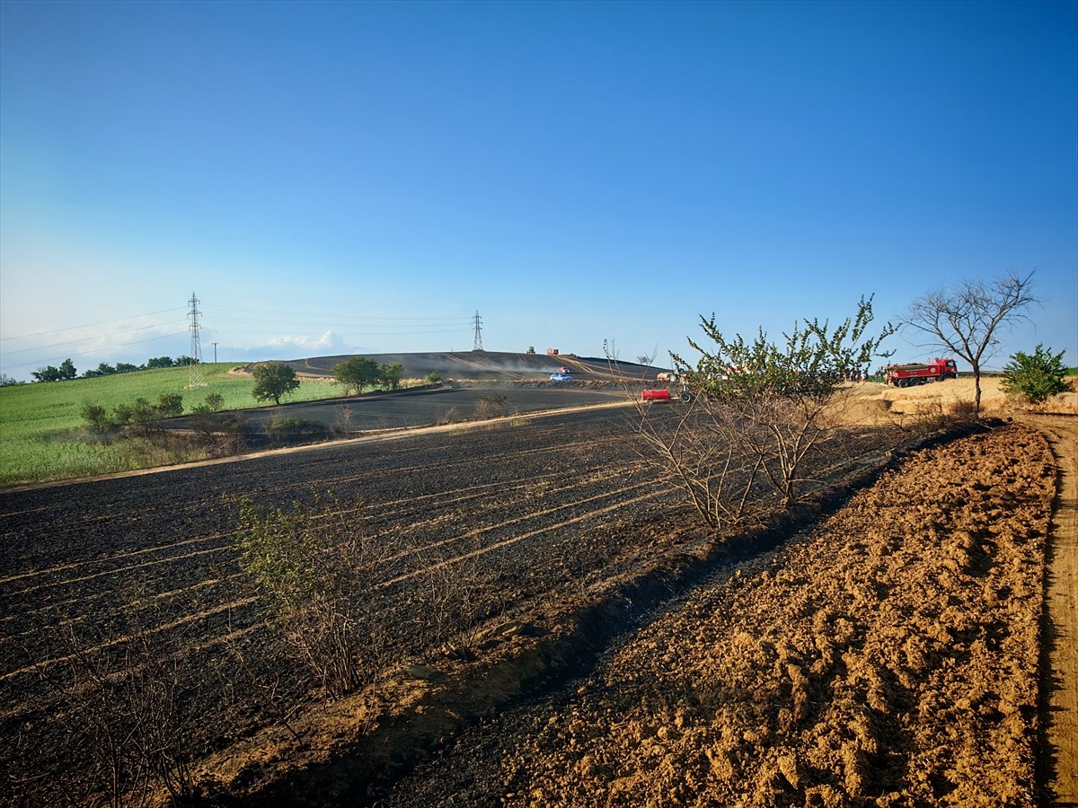 Tekirdağ'ın Malkara ilçesinde bir tarlada çıkan yangında 200 dekar buğday ekili alan yandı.