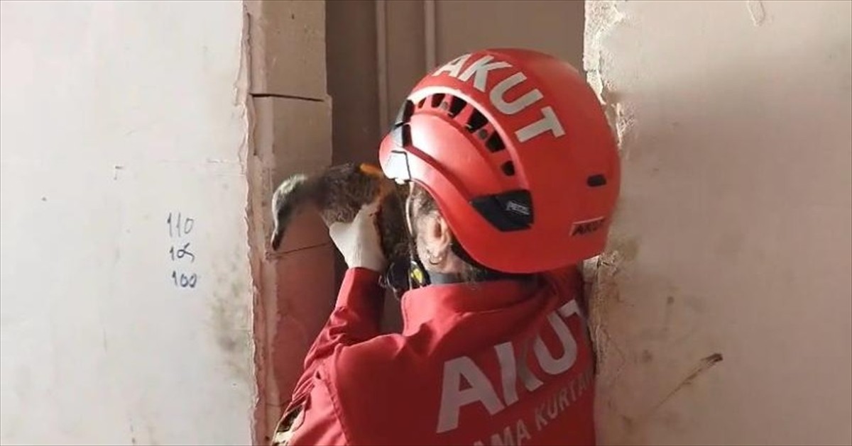 Trabzon'un Ortahisar ilçesindeki bir apartmanın havalandırma boşluğunda mahsur kalan yaralı martı...