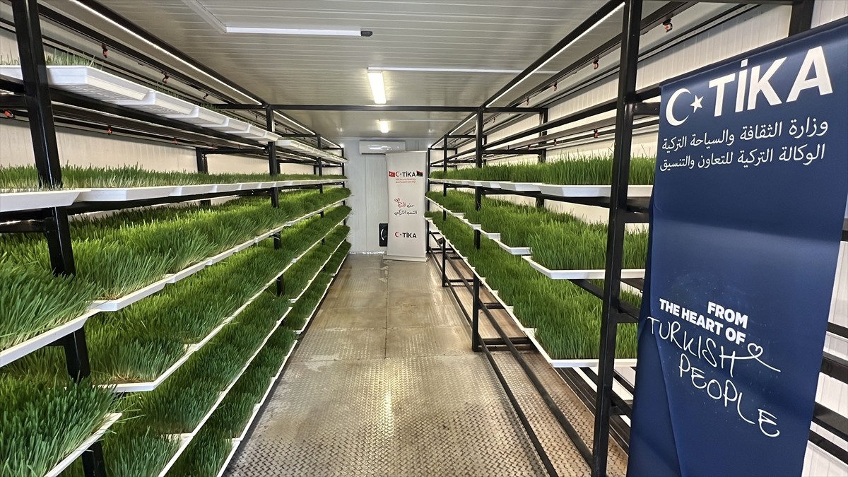 Türk İşbirliği ve Koordinasyon Ajansı Başkanlığı (TİKA), Libya'da hayvancılığın desteklenmesine...