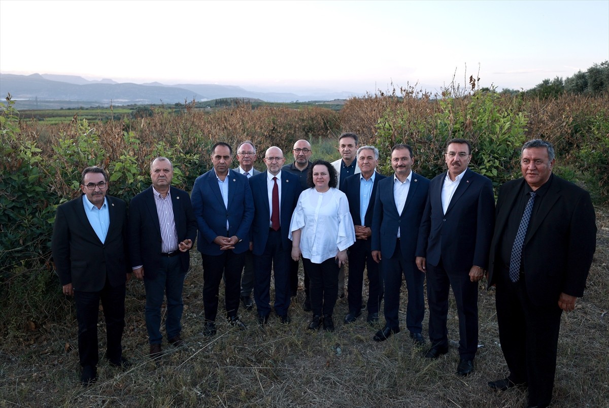 Türkiye Büyük Millet Meclisi (TBMM) Zirai Don Olayını Araştırma Komisyonu üyeleri, Mersin'de zirai...