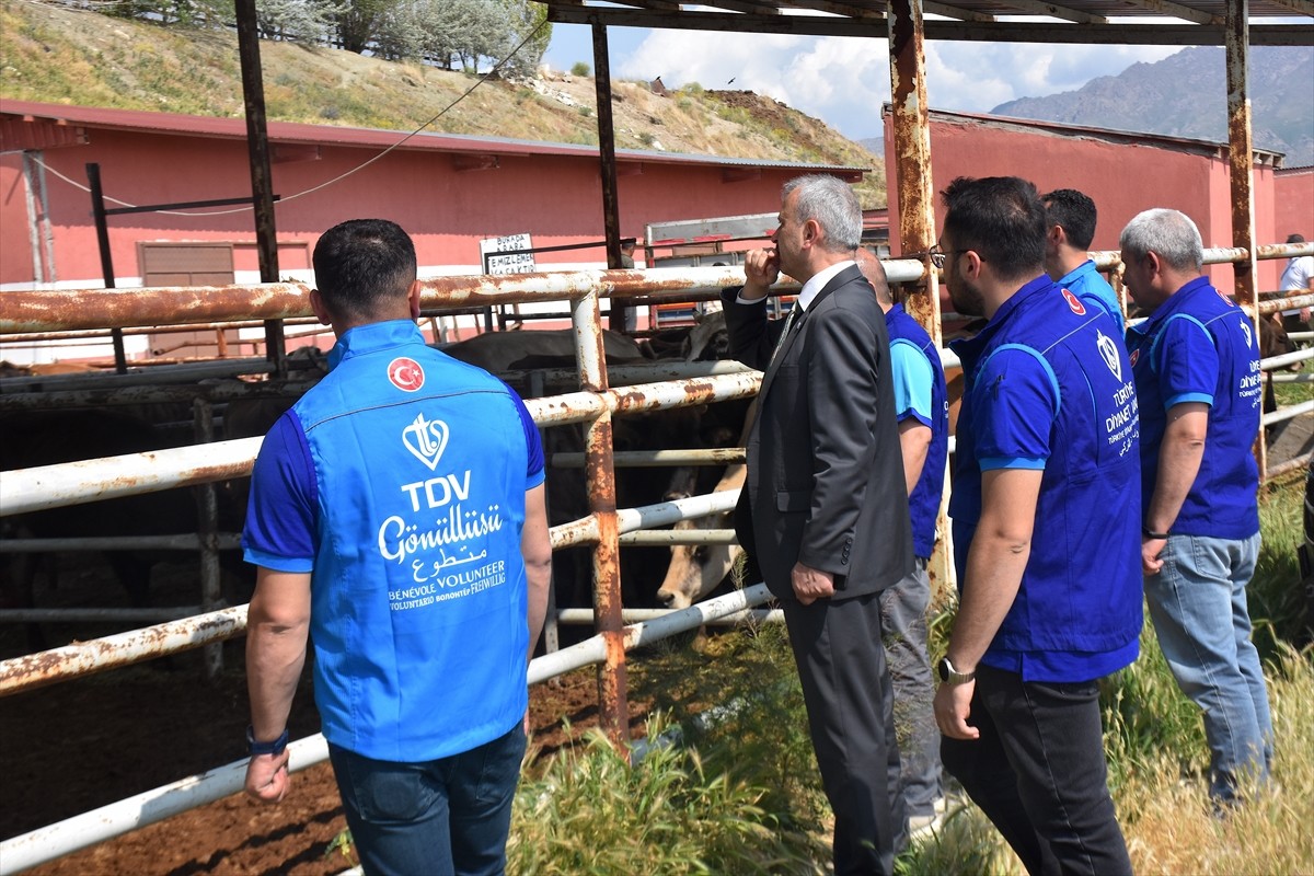 Türkiye Diyanet Vakfının (TDV) organizasyonunda Van'da bağışı yapılan 6 bin 825 hisse kapsamında...