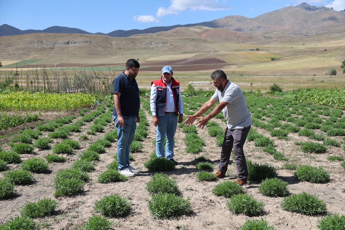 ABD'de faaliyet gösteren baharat firmasının temsilcileri, Türkiye'deki ortaklarıyla birlikte...