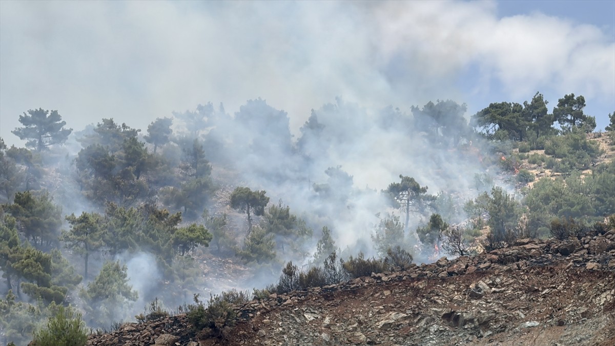 Adıyaman'da yaklaşık 200 dönümlük alanda etkili olan orman yangını kontrol altına alındı.