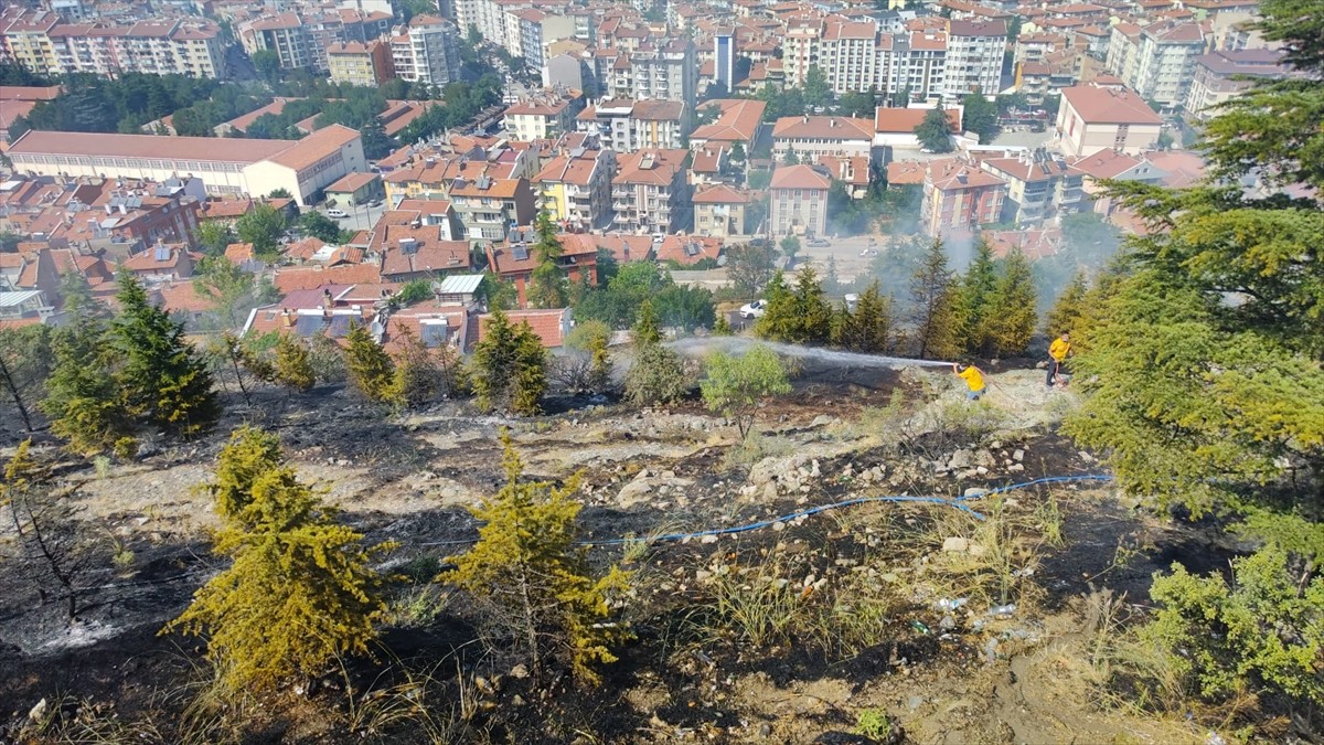 Afyonkarahisar'da ağaçlık alanda çıkan ot yangını söndürüldü.
