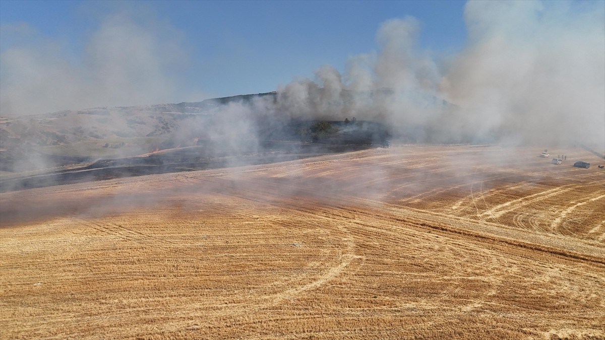 Amasya'nın Merzifon ilçesinde tarım arazisinde çıkan ve ormanlık alana sıçrayan yangın...