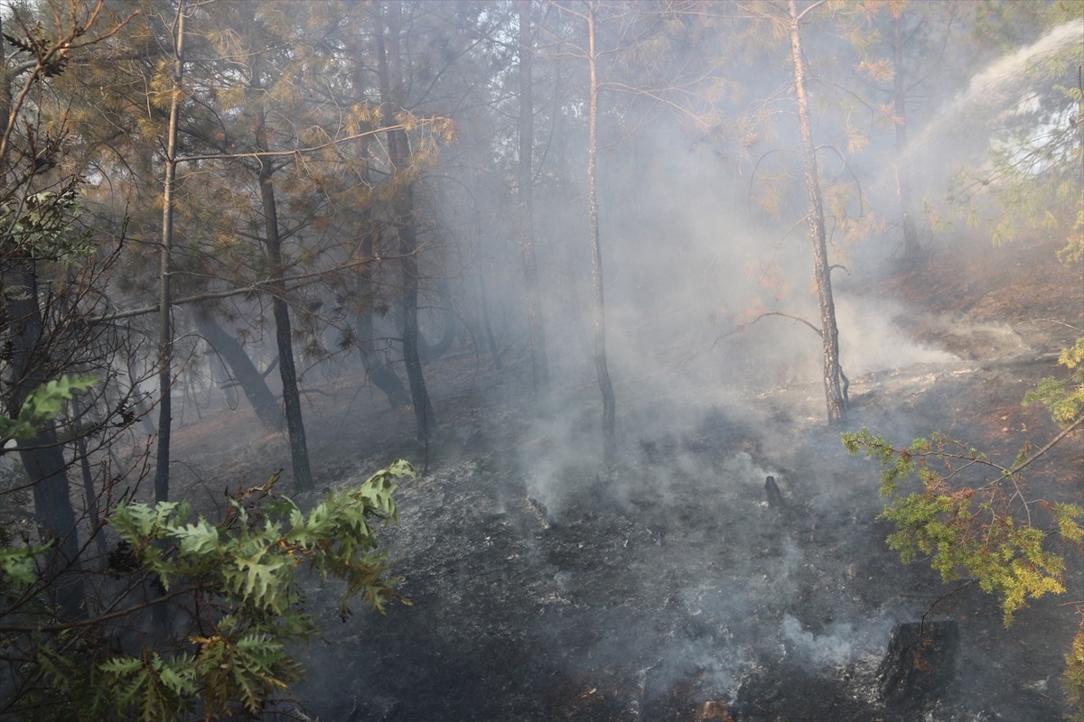 Amasya’nın Taşova ilçesinde çıkan orman yangını söndürüldü.