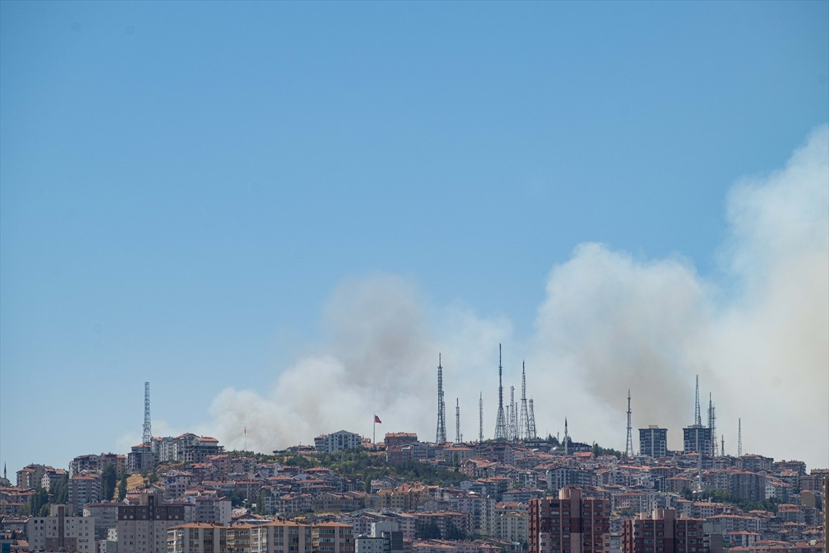 Ankara'da Eymir gölü çevresindeki ormanlık alanda yangın çıktı