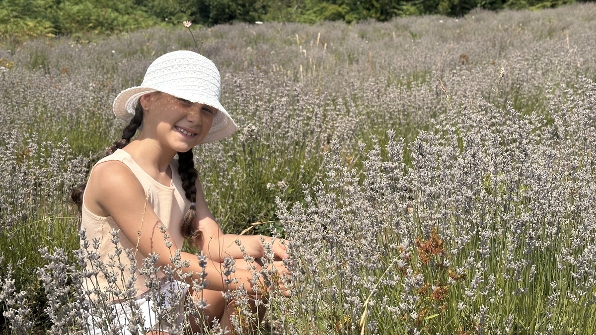 Antalya'da turizm sektöründe çalışan Emre Akıntürk'ün memleketi Kastamonu'nun Abana ilçesindeki...
