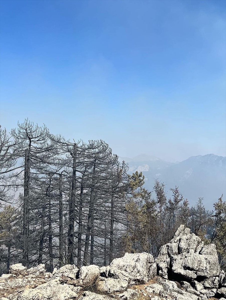 Antalya'nın Alanya ilçesindeki orman yangını kontrol altına alındı, Gazipaşa'da havadan ve karadan...