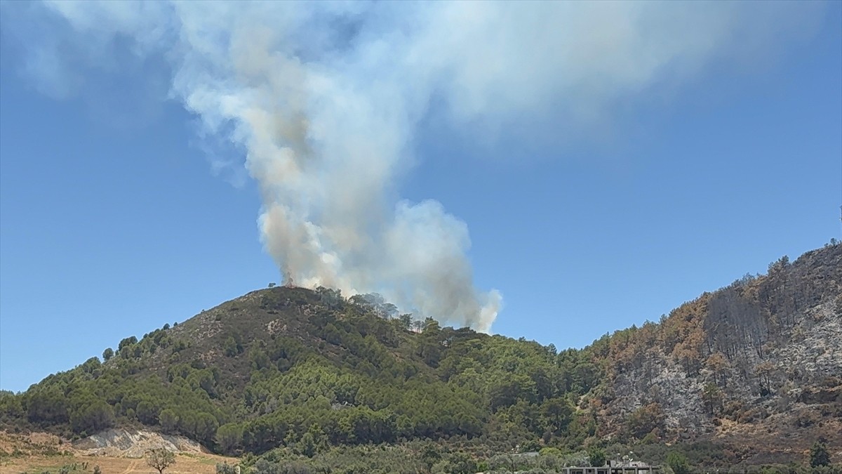 Antalya'nın Gazipaşa ilçesinde çıkan orman yangını söndürüldü.
