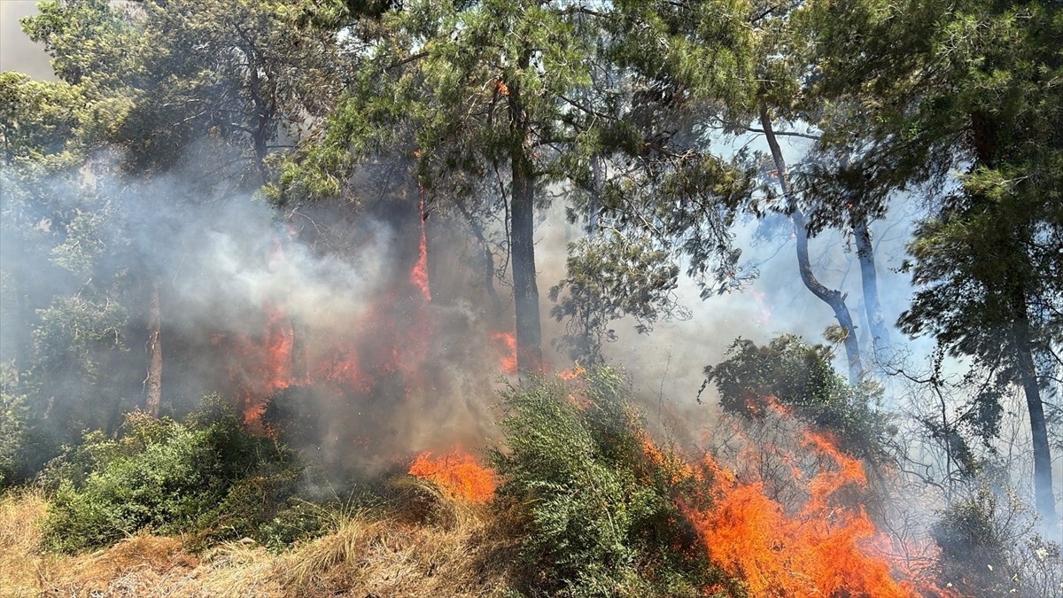 Antalya'nın Manavgat ilçesinde çıkan orman yangınına müdahale ediliyor.