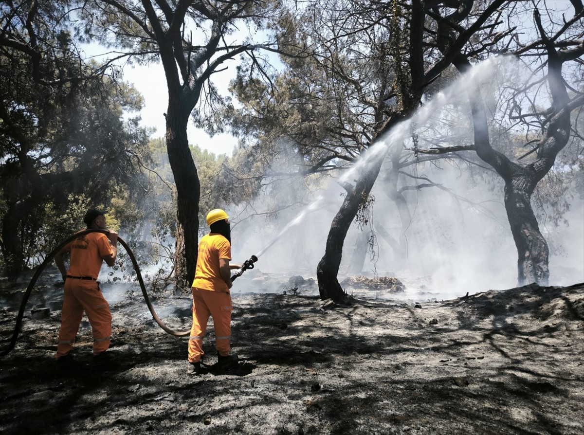  Antalya'nın Muratpaşa ilçesinde çıkan orman yangınına havadan ve karadan müdahale ediliyor.