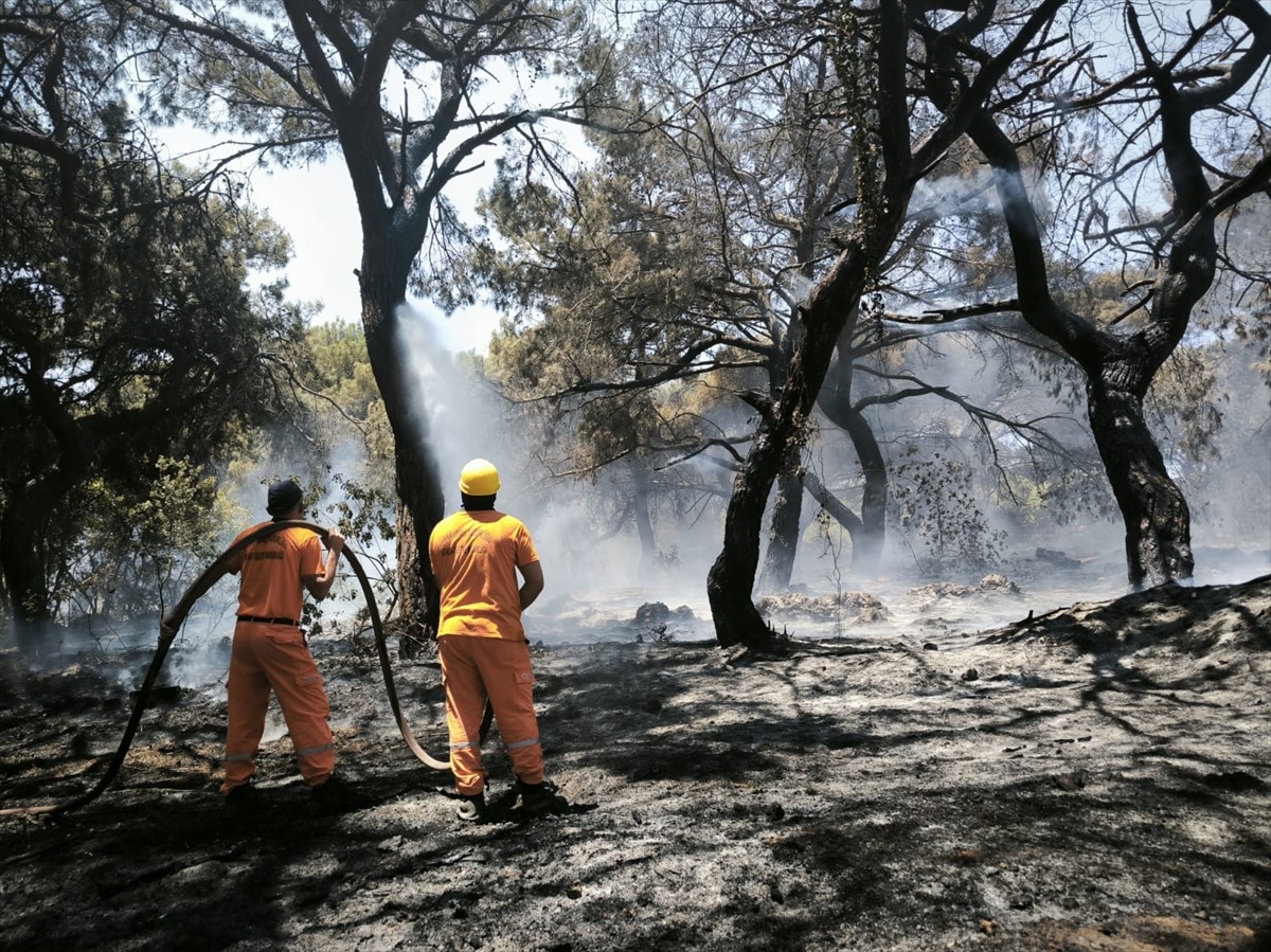  Antalya'nın Muratpaşa ilçesinde çıkan orman yangınına havadan ve karadan müdahale ediliyor.