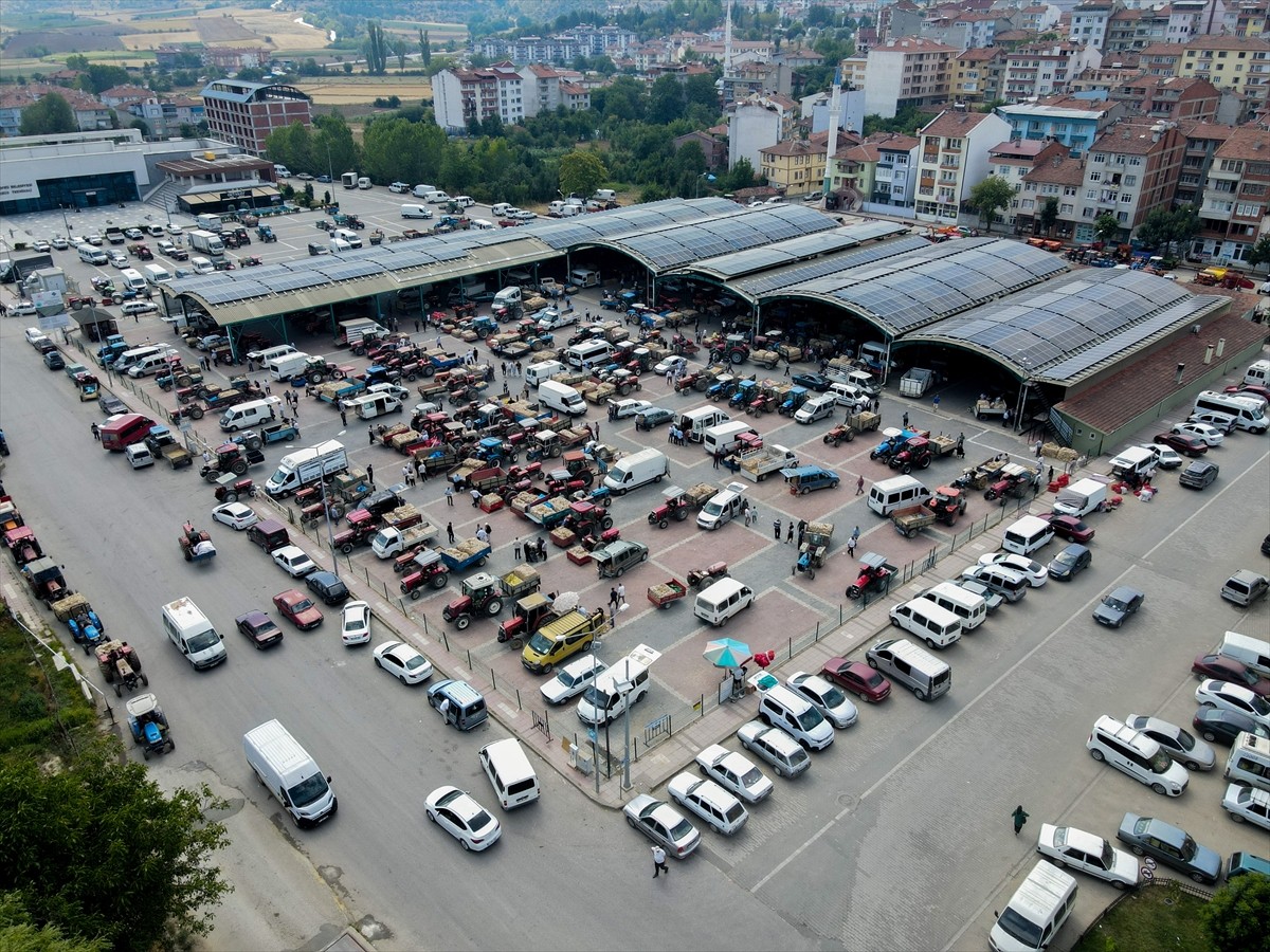 Avrupa Birliği (AB) ve Türkiye'de coğrafi işaret tescili bulunan Taşköprü sarımsağı hasadının...