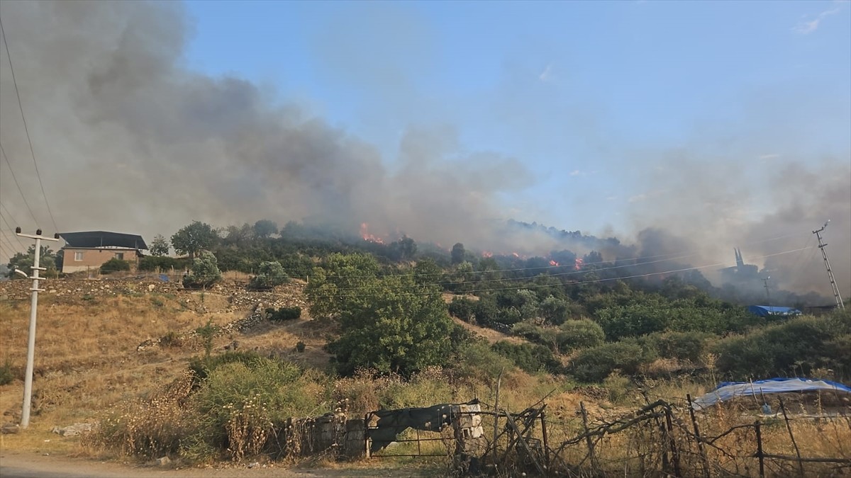 Aydın'ın Çine ilçesinde tarım alanında çıkan yangında 50 dönümlük alan zarar gördü. Yangın...