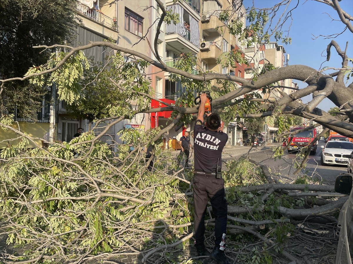 Aydın'ın Efeler ilçesinde ağacın devrilmesi sonucu 2 otomobil zarar gördü. Ekipler, devrilen...