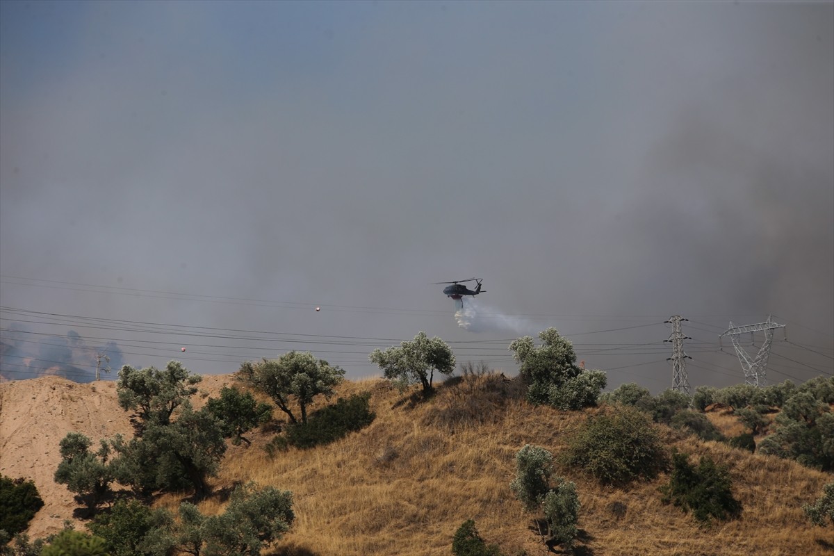 Aydın'ın Efeler ilçesinde ağaçlık alanda çıkan yangına havadan ve karadan müdahale...