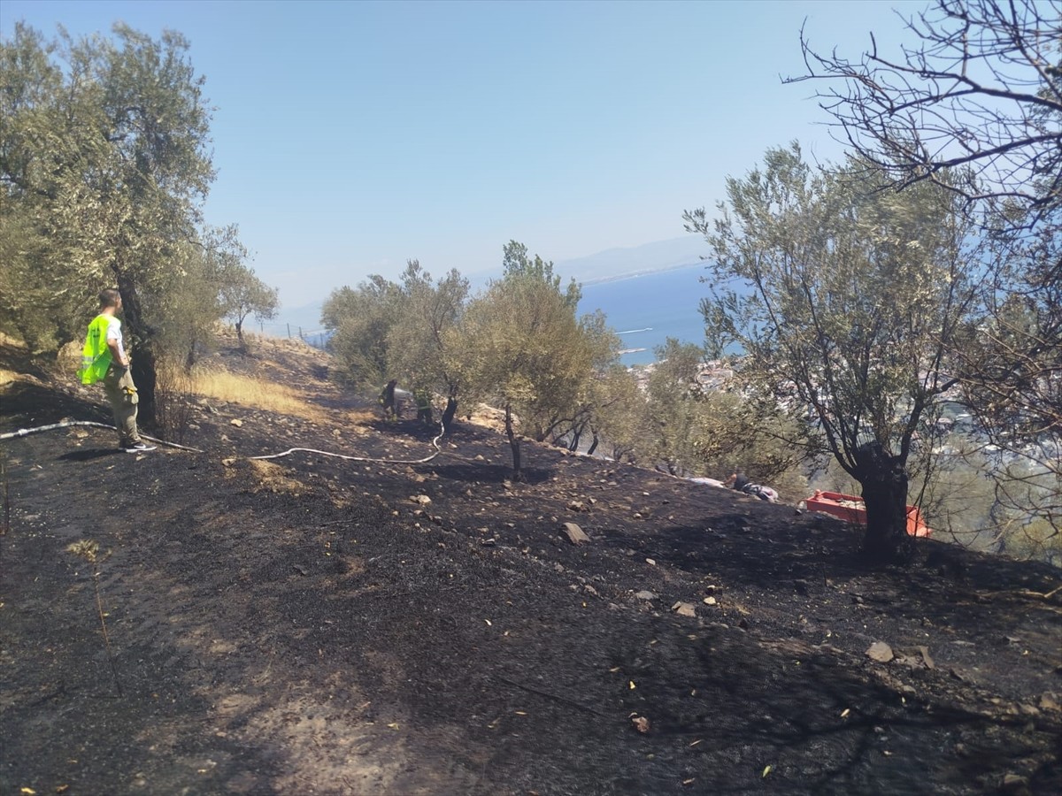 Balıkesir'in Edremit ilçesinde zeytinlik alanda çıkan yangın havadan ve karadan müdahaleyle...
