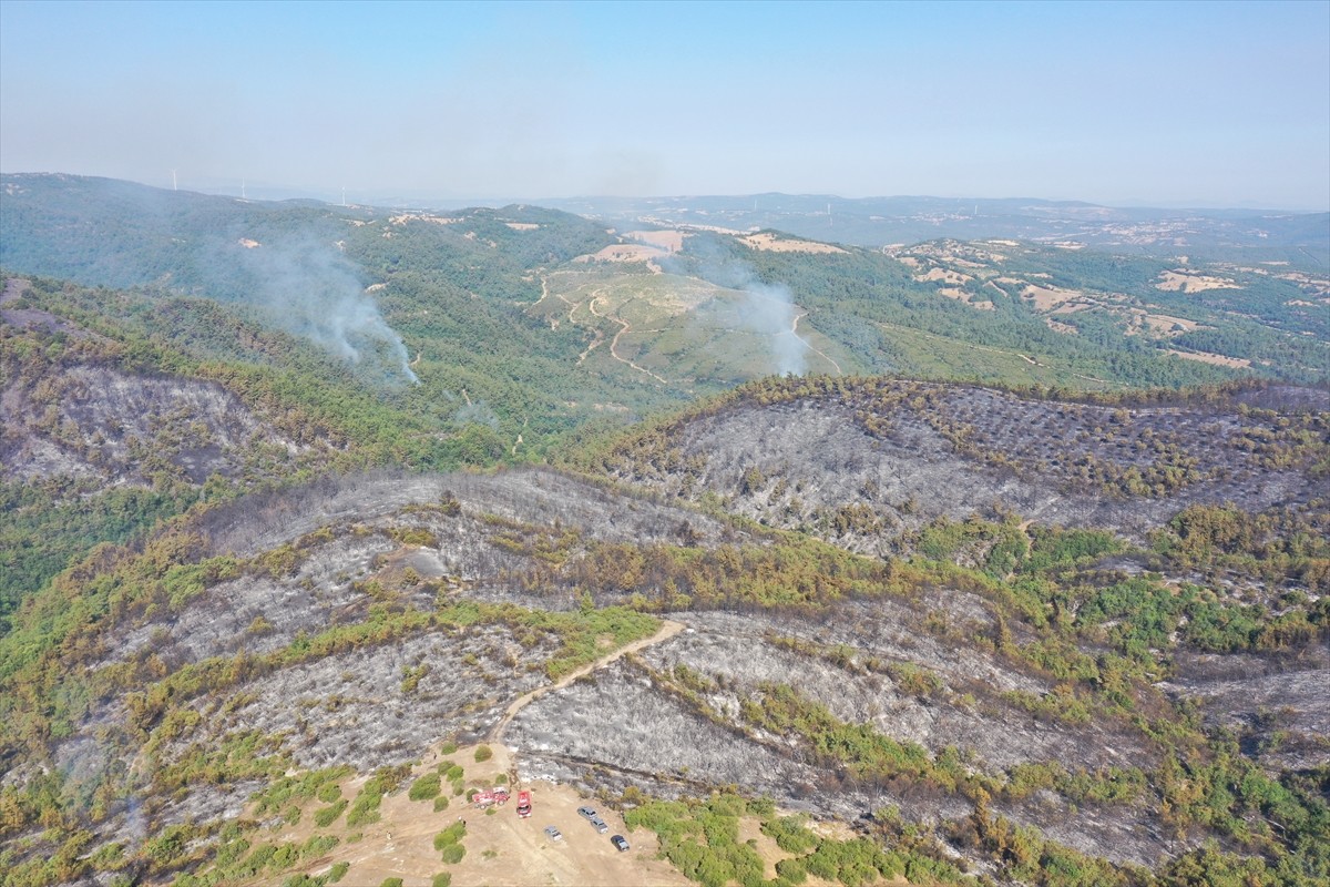 Balıkesir'in Savaştepe ve Altıeylül ilçeleri sınırında çıkan orman yangınının kontrol altına...