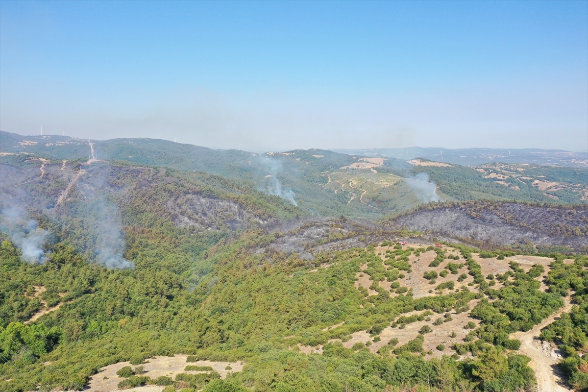 Balıkesir'in Savaştepe ve Altıeylül ilçeleri sınırında çıkan orman yangınının kontrol altına...