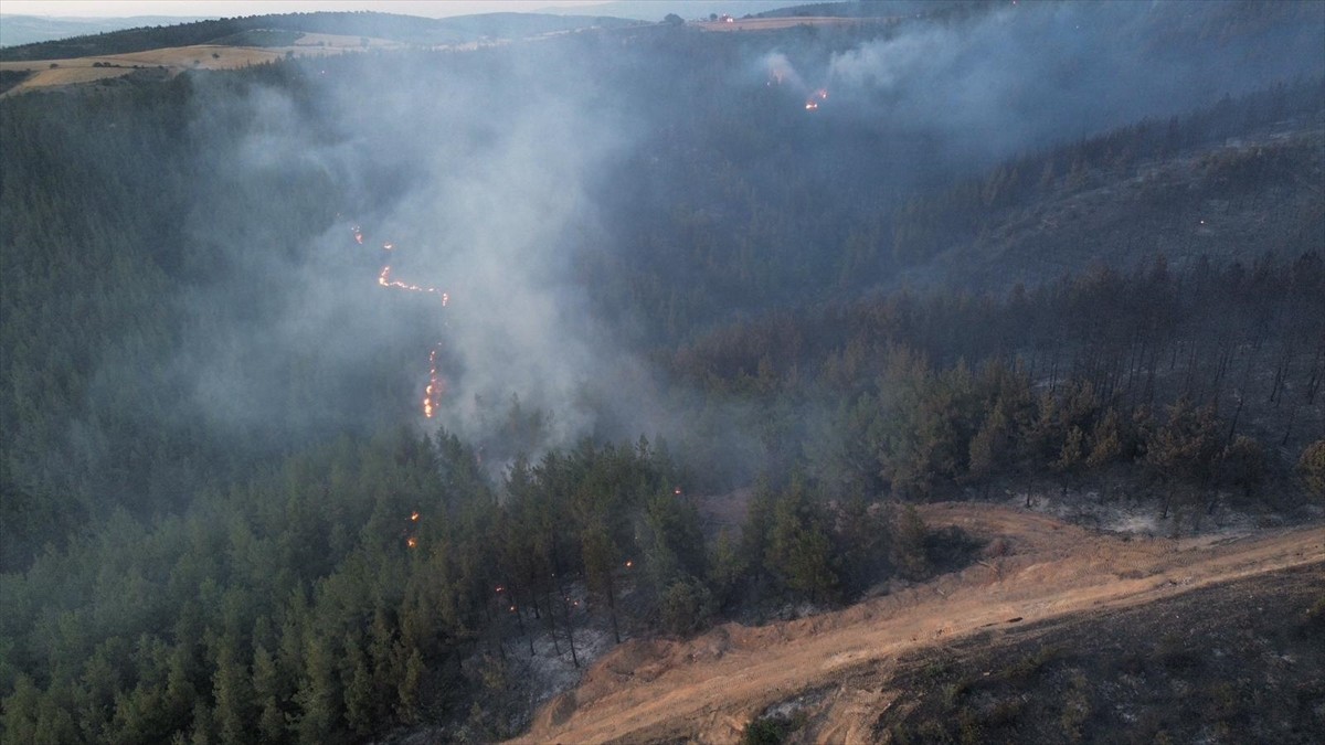Balıkesir'in Susurluk ve Kepsut ilçeleri arasındaki ormanlık alanda çıkan orman yangınını kontrol...