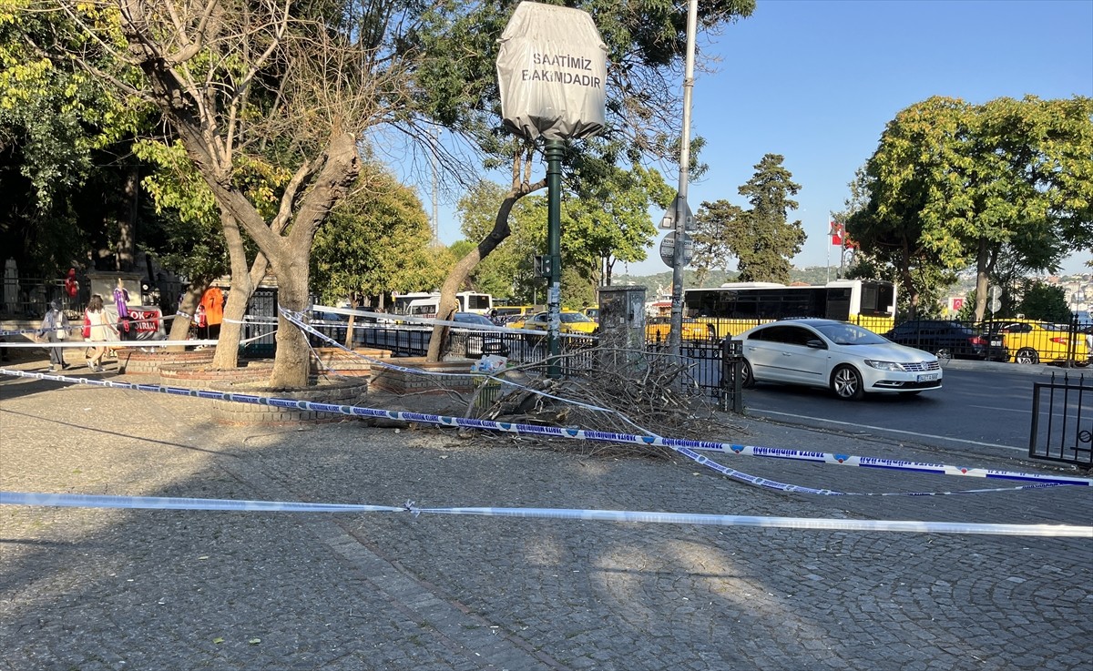 Beşiktaş'ta yolda yürüdükleri sırada üzerlerine ağaç dalı düşen 3 kişi yaralandı. 