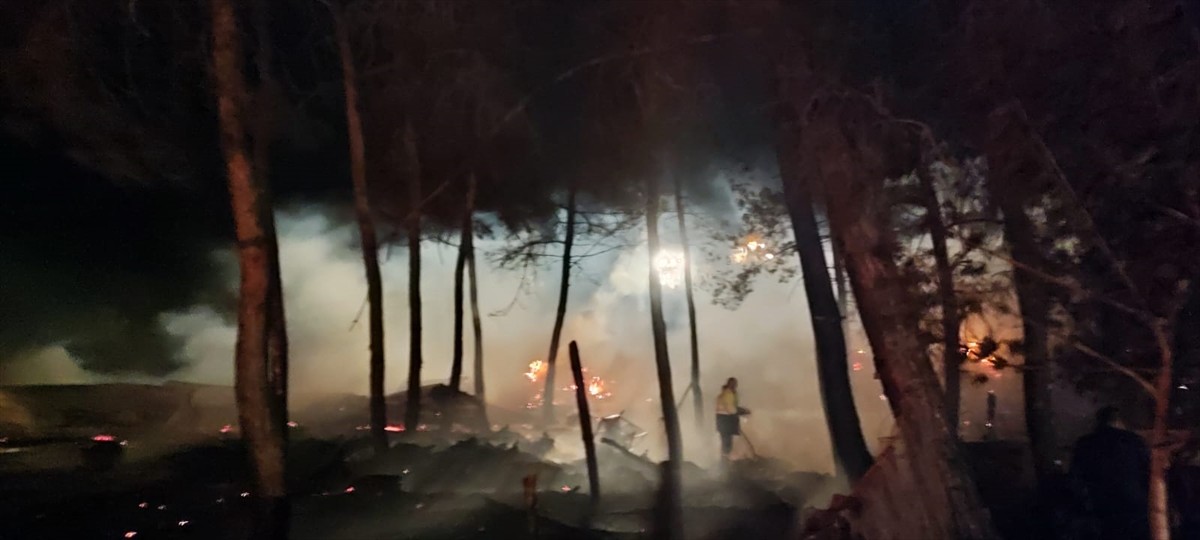 Bilecik'in Gölpazarı ilçesinde, çiftlikte başlayıp ormanlık alana sıçrayan yangını kontrol altına...