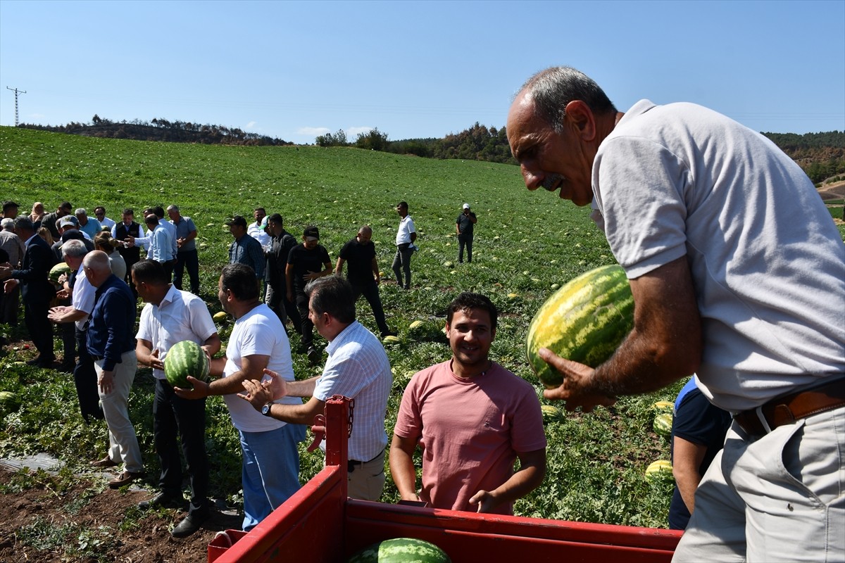Bilecik'in Osmaneli ilçesinde, 28 Haziran'da çıkan orman yangınlarında evleri kullanılamaz hale...