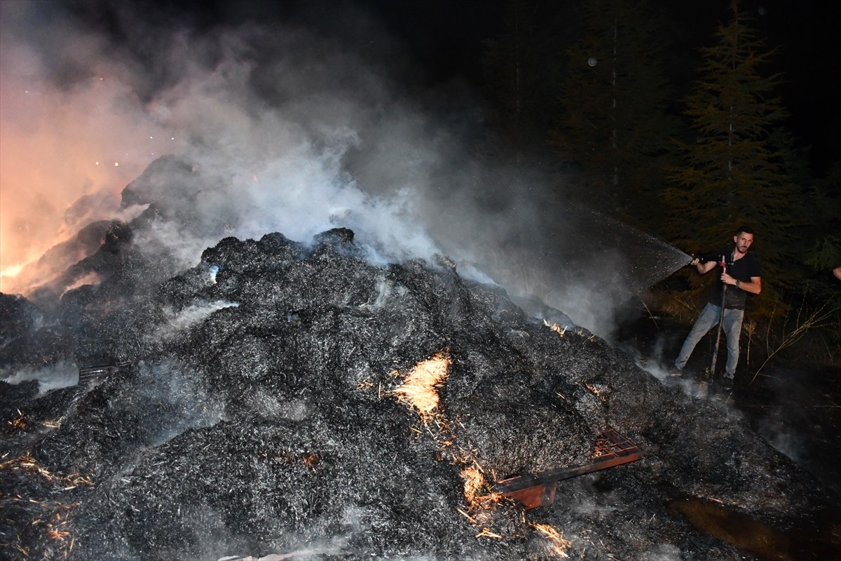 Bilecik'in Söğüt ilçesinde, seyir halindeki traktöre bağlı saman yüklü römorkta çıkan yangın...