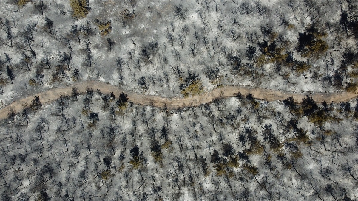 Bilecik'in Vezirhan beldesinde çıkan, havadan ve karadan müdahaleyle kontrol altına alınan orman...