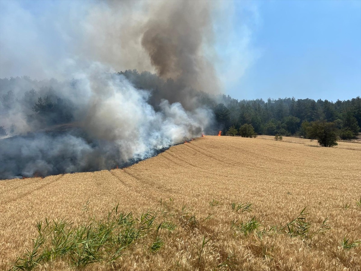 Bilecik'te Gölpazarı-Yenipazar kara yolunun Taşınburnu mevkisi yakınlarındaki tarımsal arazide...