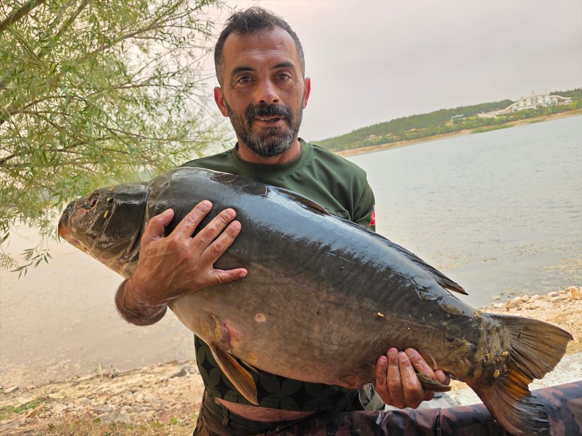 Bilecik'te sportif olta balıkçılığı yapan Tamer Sargıl, Pelitözü Göleti'nde 28 kilo 600 gram...