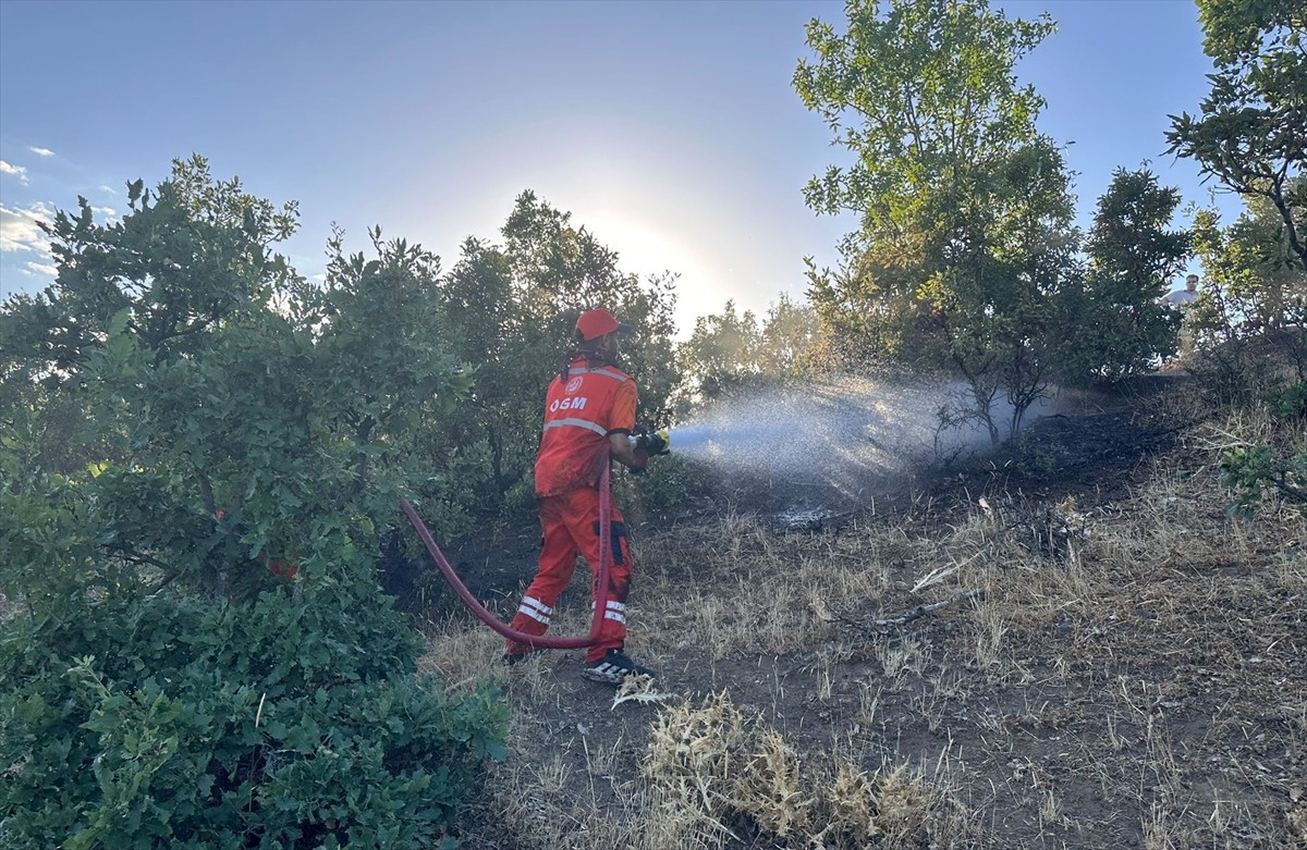 Bingöl'de ormanlık alanda çıkan yangın kontrol altına alındı.