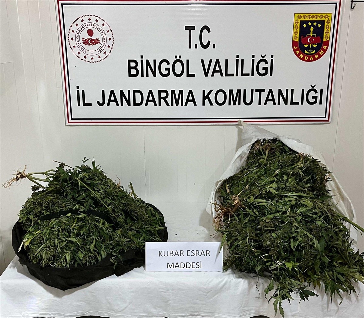Bingöl'ün Genç ilçesinde düzenlenen uyuşturucu operasyonunda 17 kilo 936 gram esrar ele geçirildi...