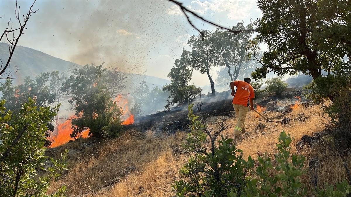 Bingöl'ün Genç ilçesine bağlı Yaydere, Solhan ilçesindeki Kırık ve merkeze bağlı Kardeşler...