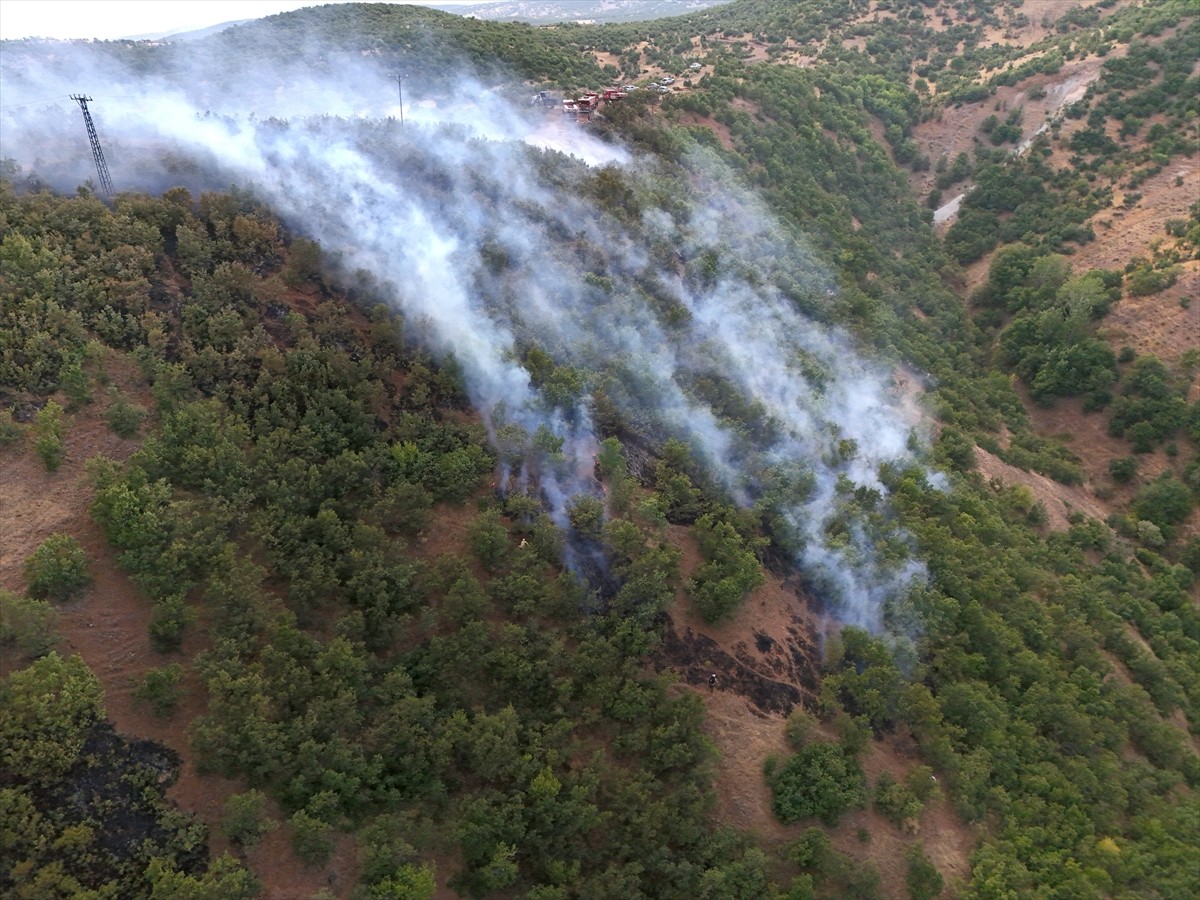 Bingöl'ün merkeze bağlı Göltepesi köyü ile Genç ilçesindeki ormanlık alanlarda çıkan yangınlara...