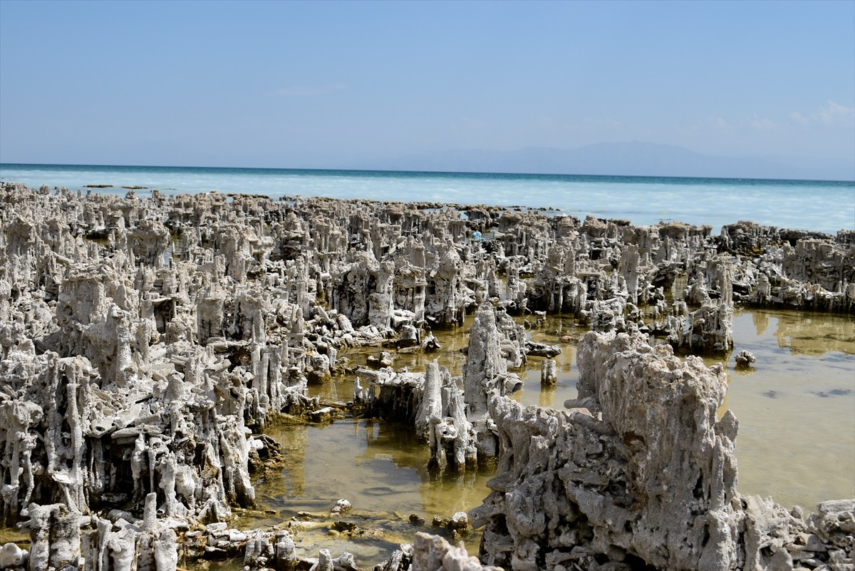 Bitlis'in Adilcevaz ilçesinde Yukarı Deniz Derneği üyesi dalgıçlar, Van Gölü'nün derinliklerinde...