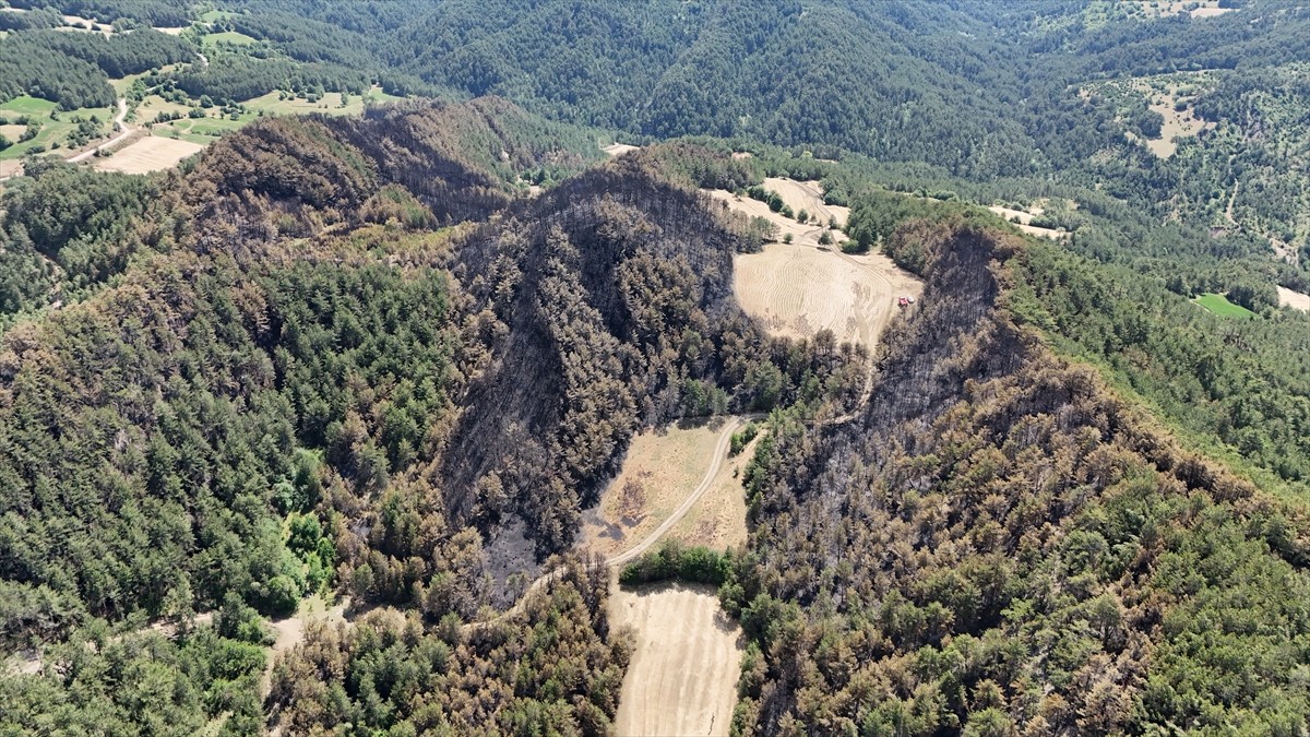 Bolu'nun Göynük ilçesinde çıktıktan sonra havadan ve karadan müdahaleyle söndürülen yangında zarar...