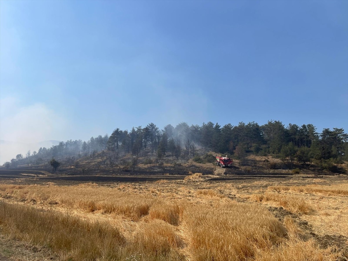 Bolu'nun Mudurnu ilçesinde çıkan orman yangını kontrol altına alındı.