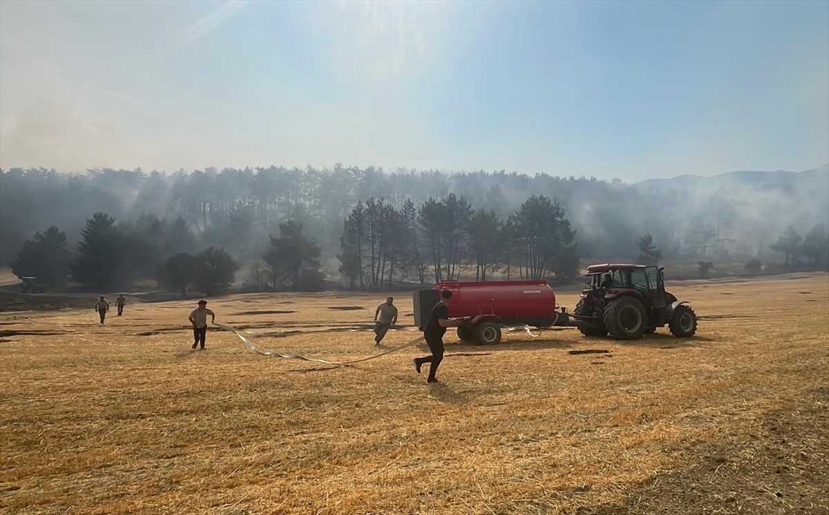 Bolu'nun Mudurnu ilçesinde çıkan orman yangını kontrol altına alındı.